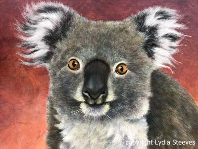Kimberly Koala CP Online Class